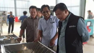 Kesehatan Tanaman Jahe di Jonggon Jaya